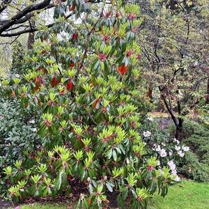 Meet your Posher, Terri